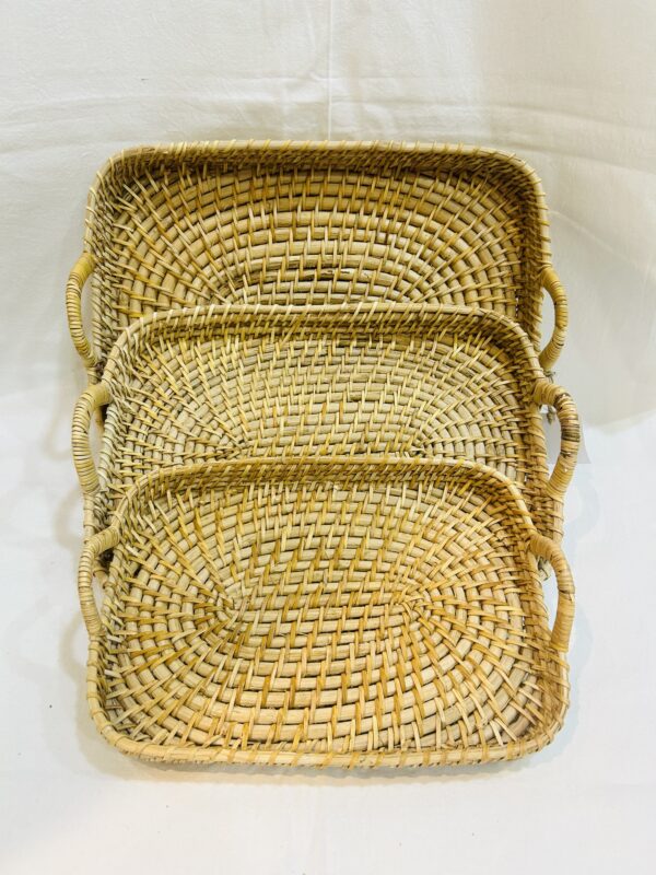 RECTANGLE TRAY (Set of 3)